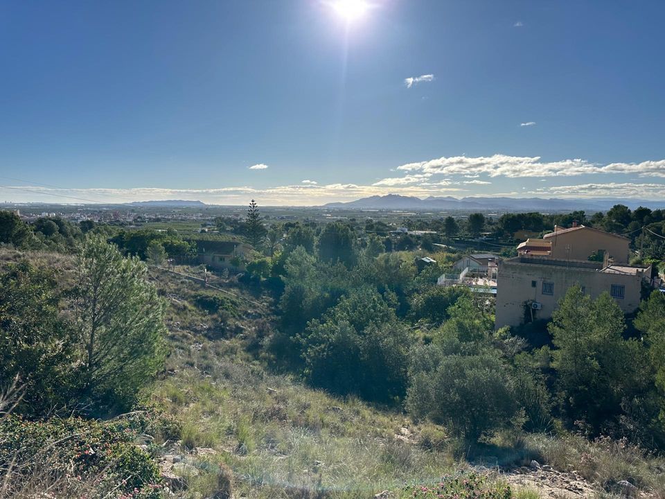 Tomt i Alginet, Valencia - bilde 1