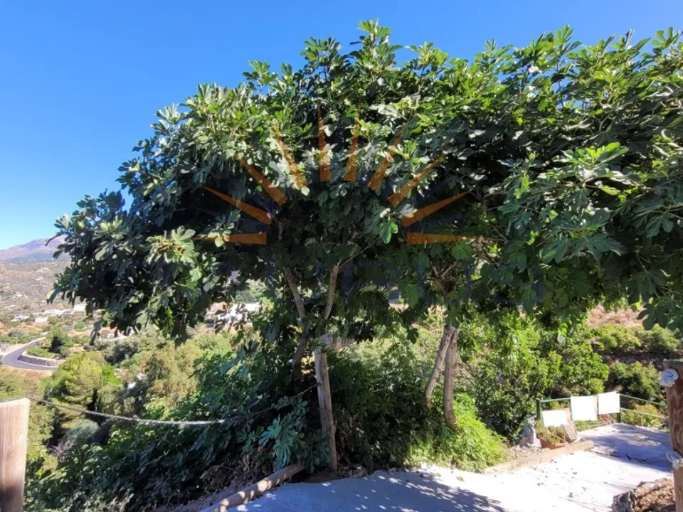 Cortijo i Competa, Malaga - foto 3