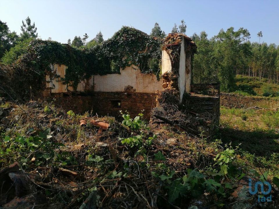 Byhus i Pedrogao Grande, Leiria - foto 1