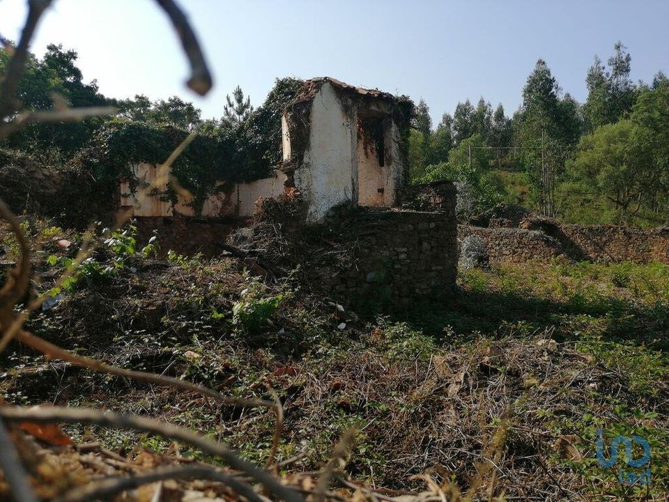 Byhus i Pedrogao Grande, Leiria - foto 2