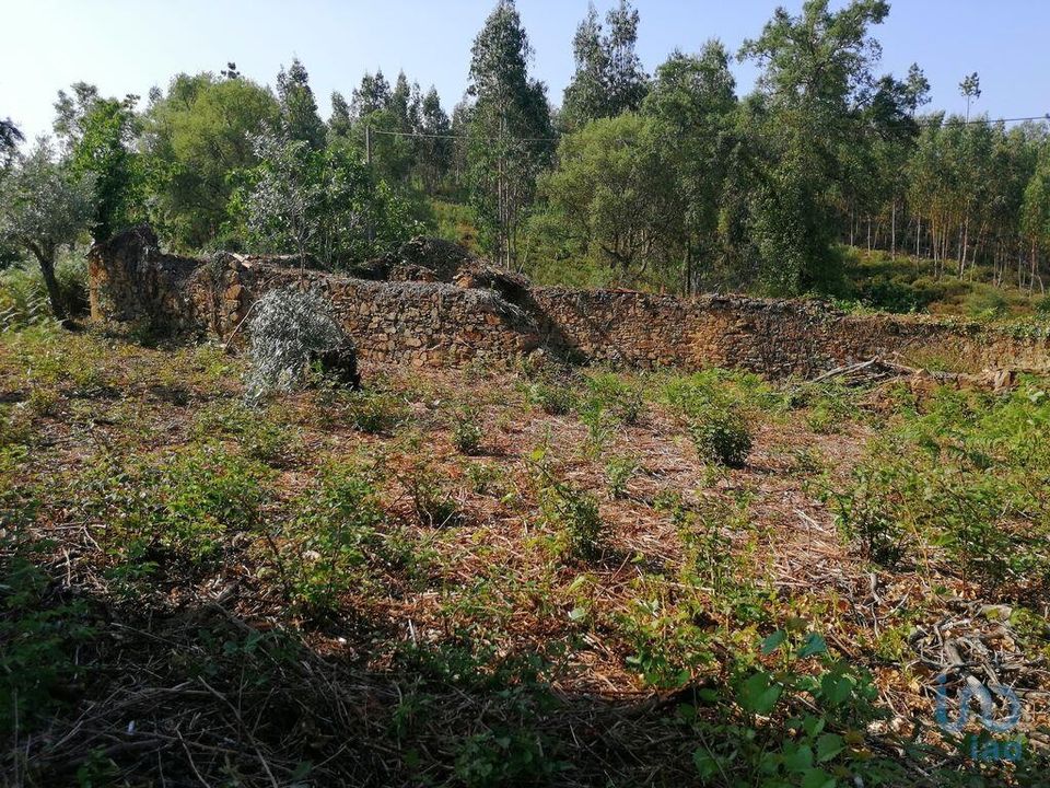 Byhus i Pedrogao Grande, Leiria - foto 4