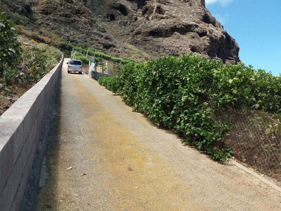 Helårsgrund i Buenavista Del Norte, Tenerife - foto 4