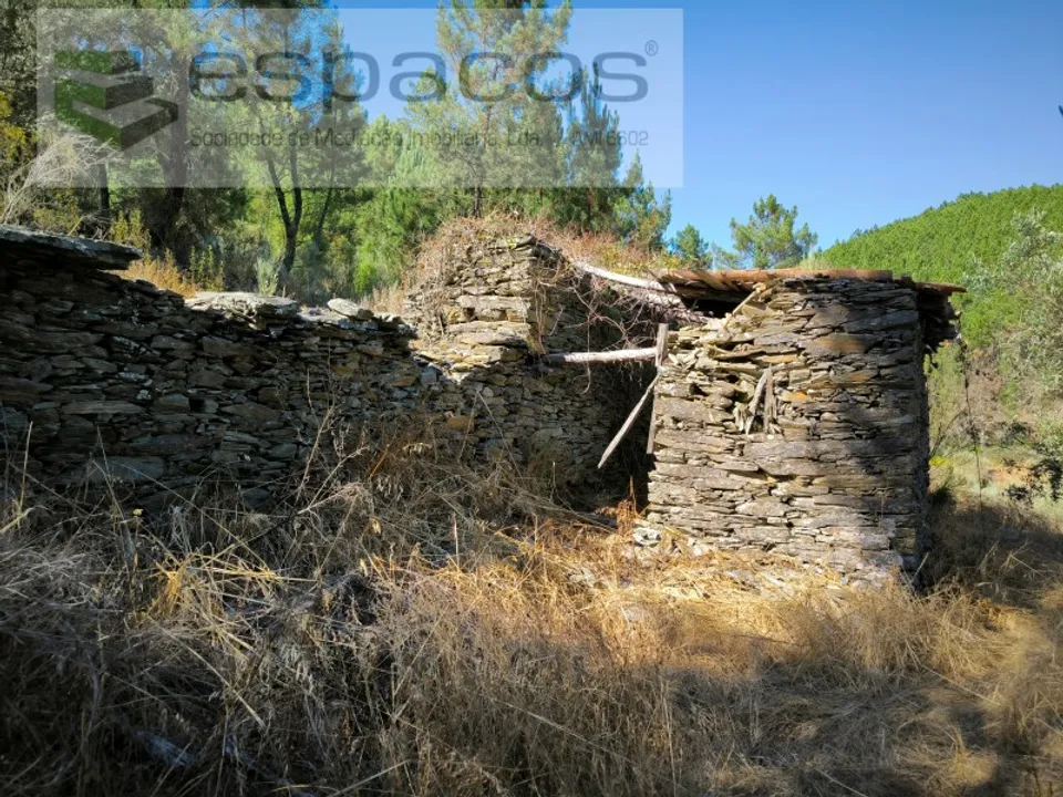 Farm i Fundao, Castelo Branco - foto 2
