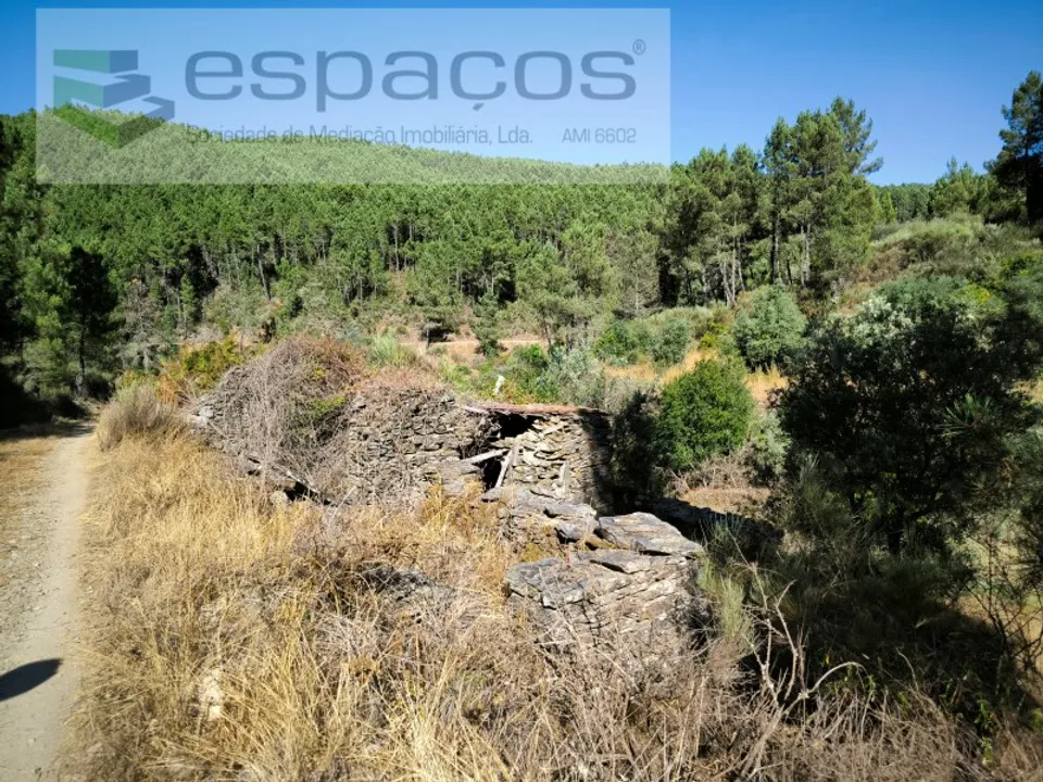 Farm i Fundao, Castelo Branco - foto 3