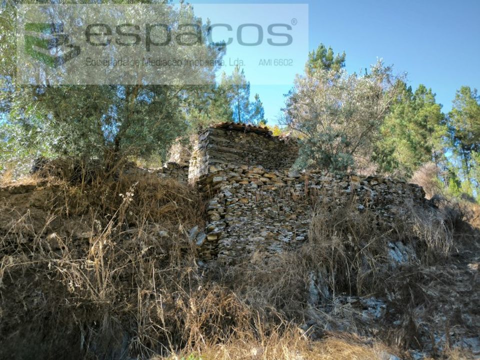 Farm i Fundao, Castelo Branco - foto 4