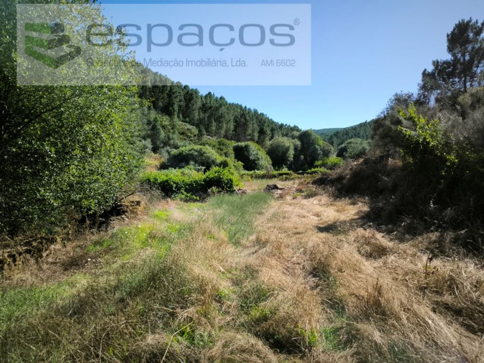 Farm i Fundao, Castelo Branco - foto 5