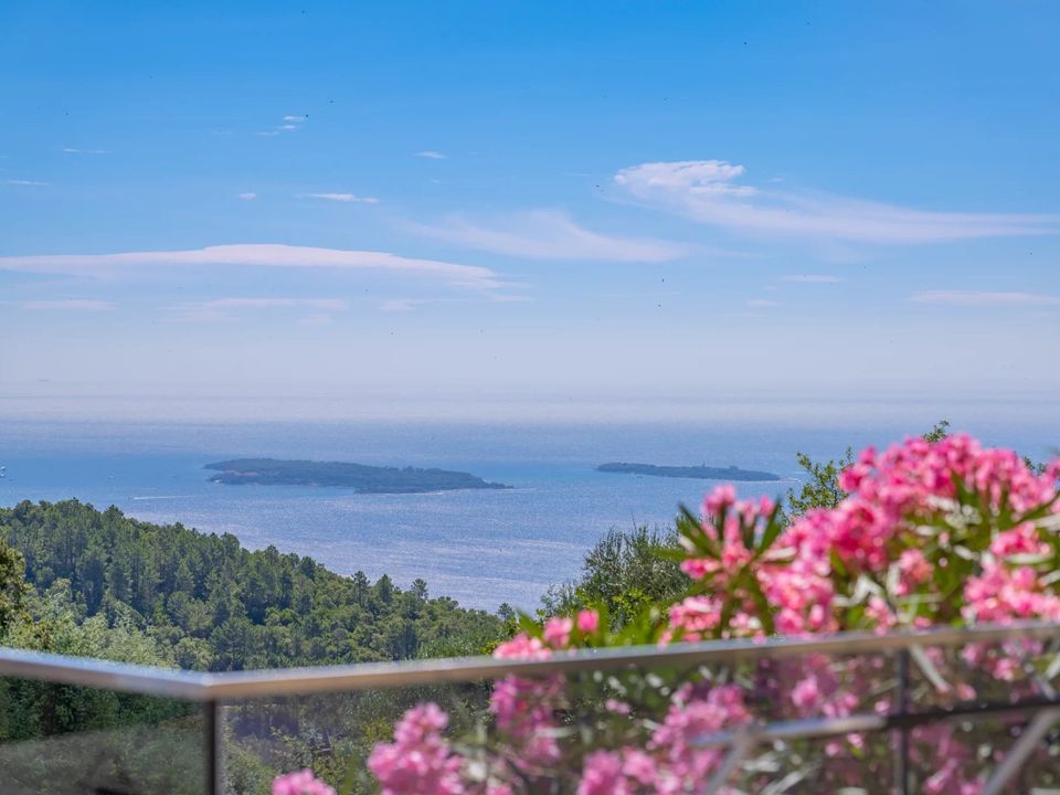 Villa i Mandelieu-la-Napoule, Alpes-Maritimes - foto 3