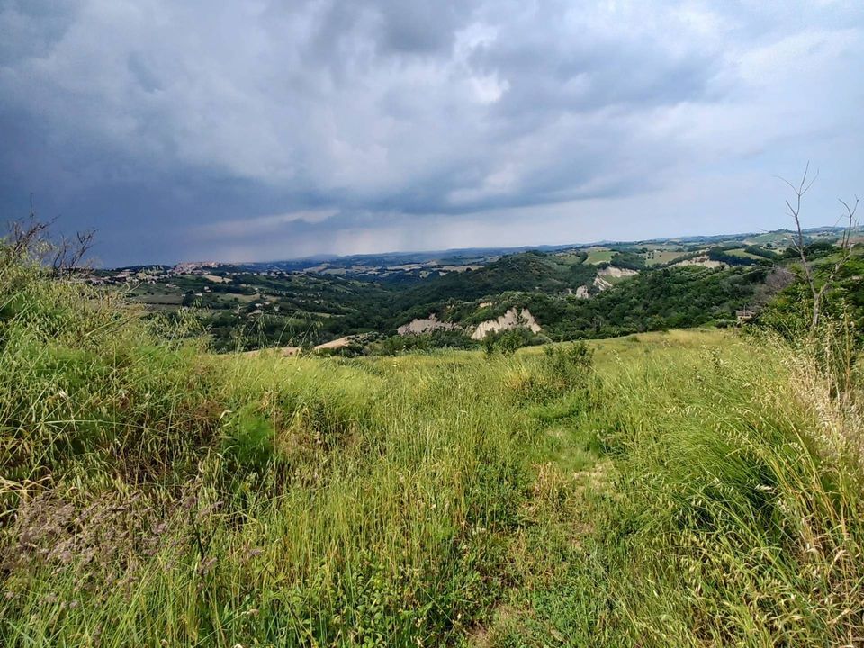 Helårsgrund i Monte Vidon Corrado, Fermo - foto 2