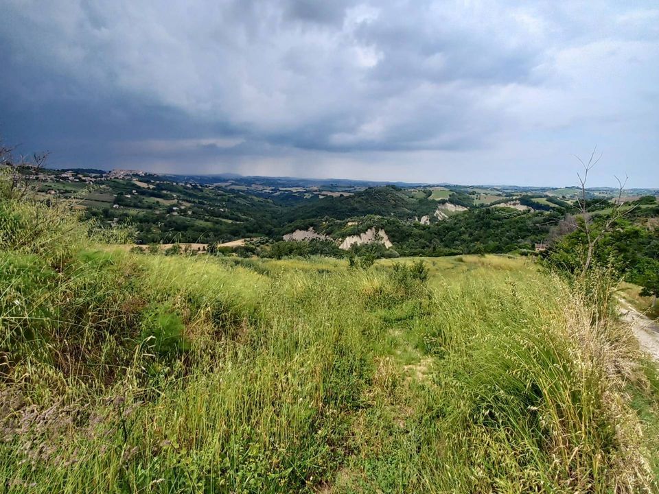 Helårsgrund i Monte Vidon Corrado, Fermo - foto 3
