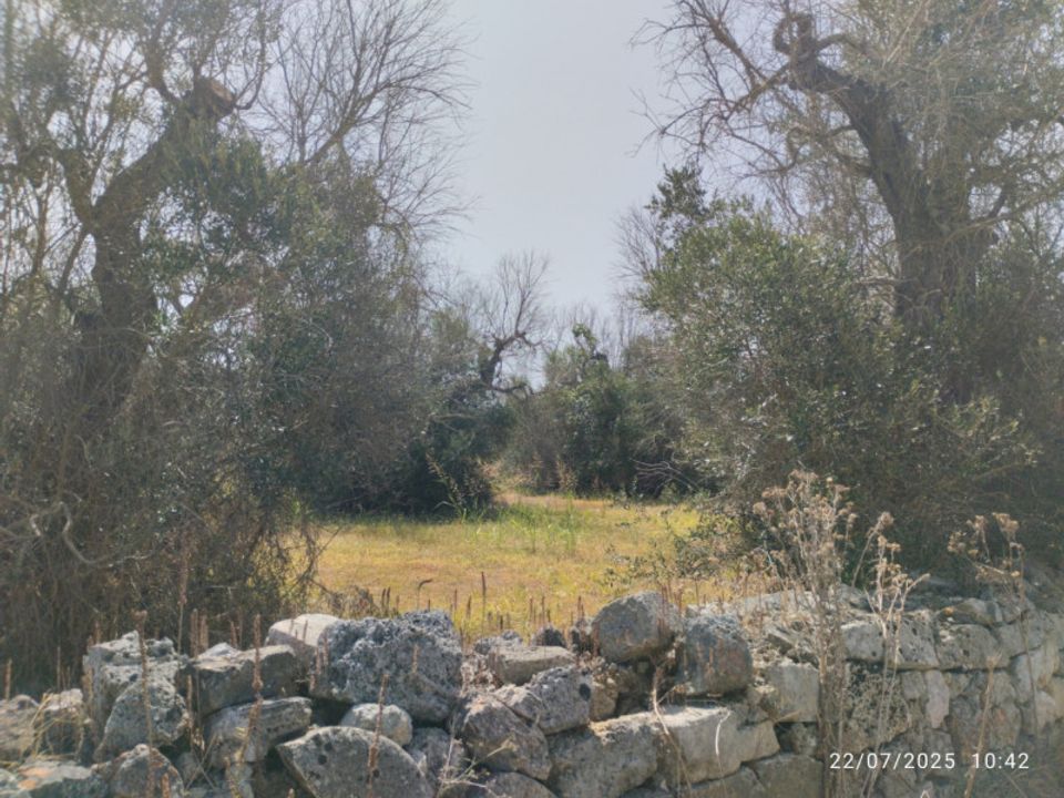 Tomt i Casarano, Lecce - bilde 4