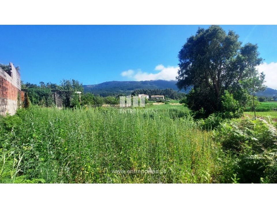 Helårsgrund i Caminha, Viana do Castelo - foto 3