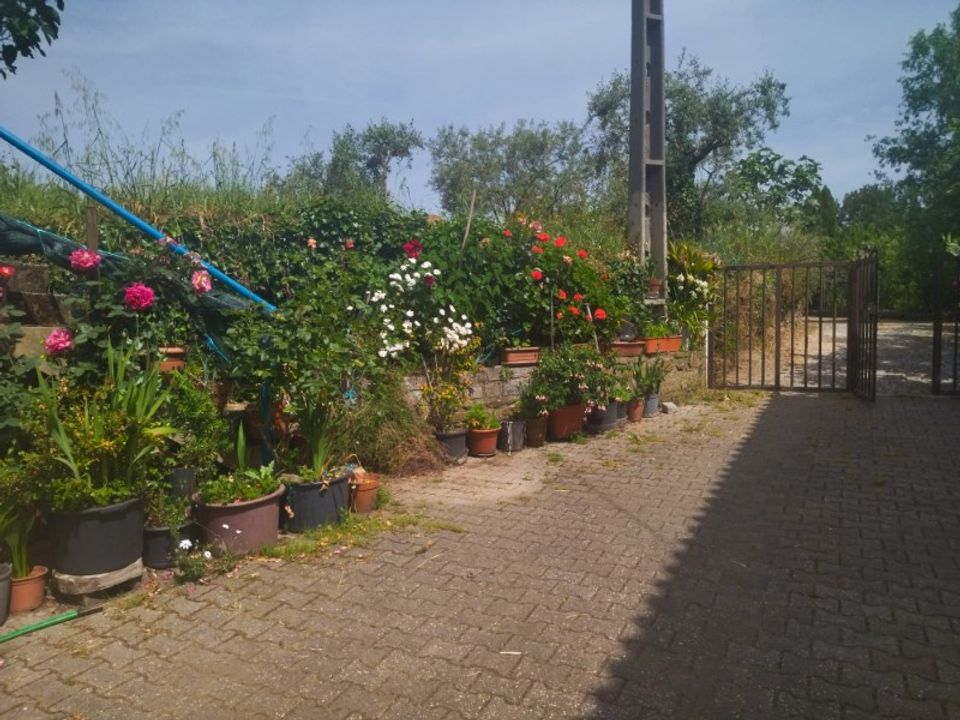 Farm i Fundao, Castelo Branco - foto 5
