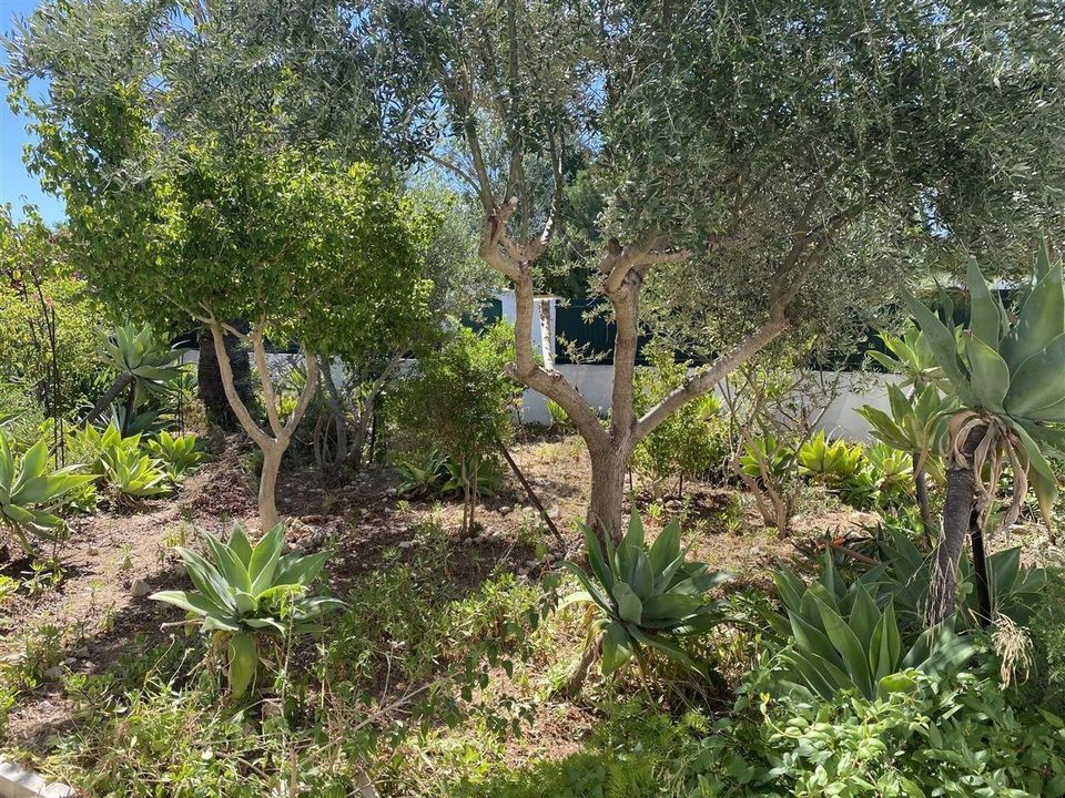 Villa i Alvor, Faro - foto 1
