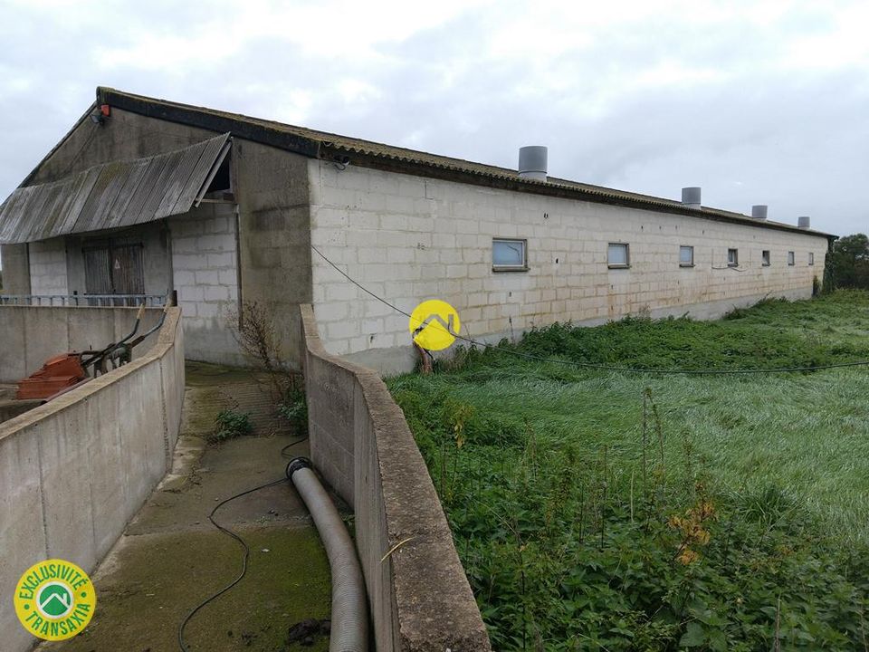Helårsgrund i Lurcy-Levis, Allier - foto 5