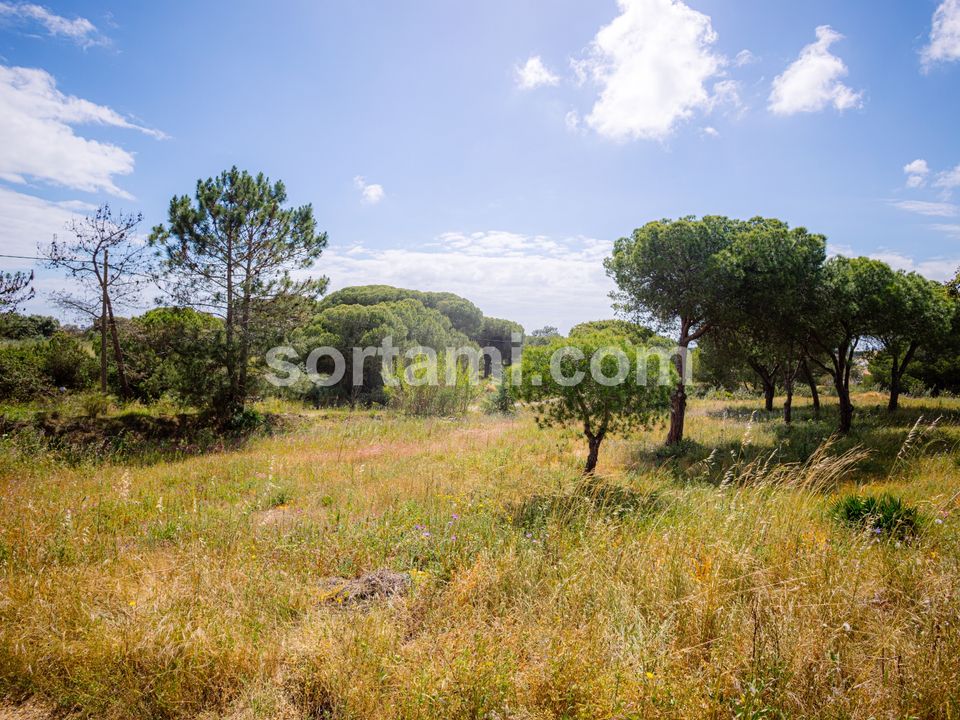 Helårsgrund i Faro, Faro - foto 2