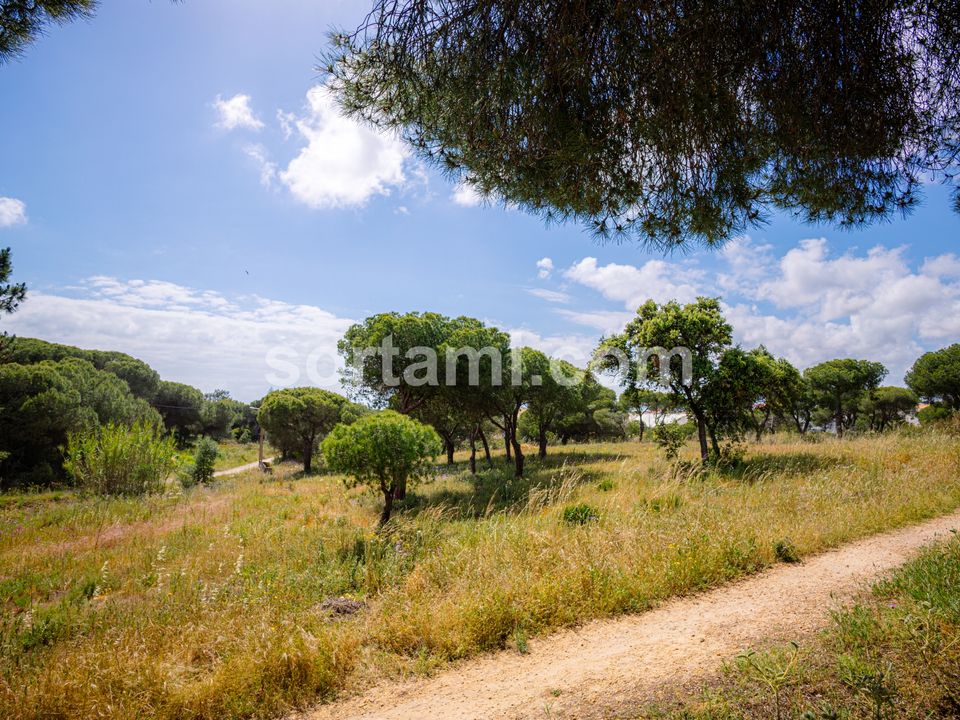 Helårsgrund i Faro, Faro - foto 3