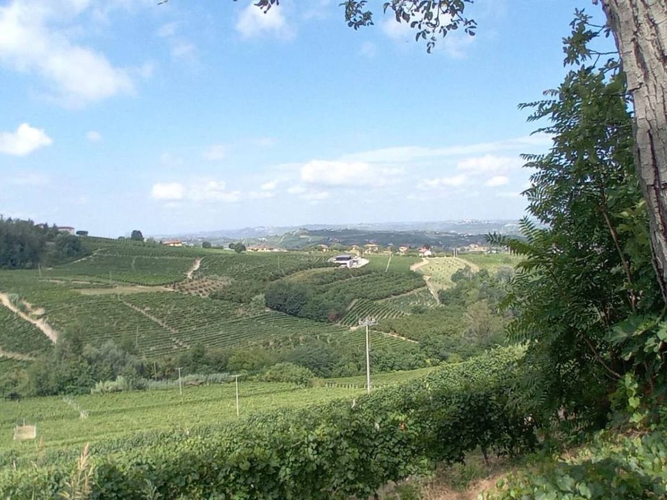 Villa i Castagnole delle Lanze, Asti - foto 2