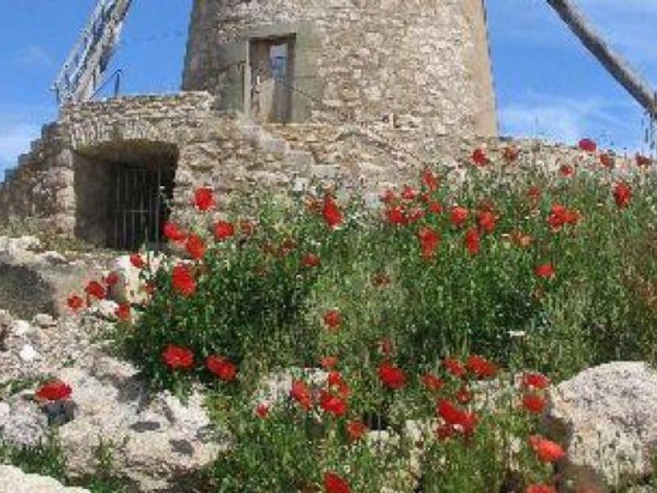 Helårsgrund i Villeneuve-Minervois, Aude - foto 5