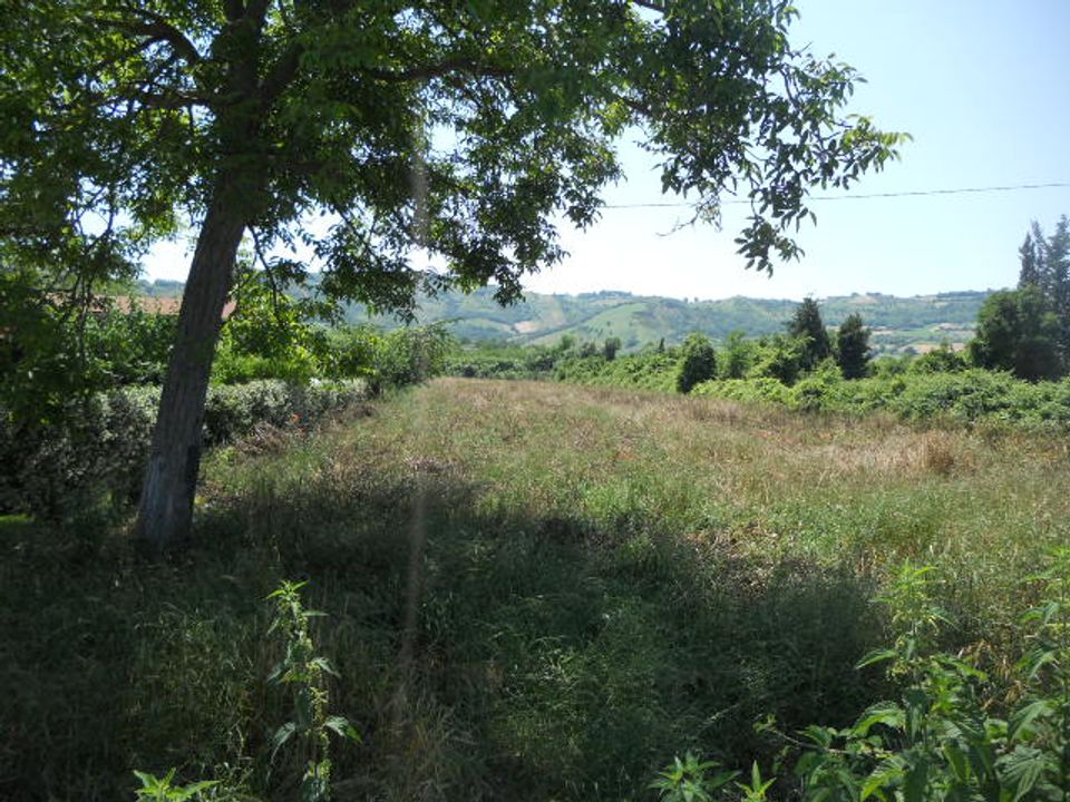 Terra a Spinetoli, Ascoli Piceno - foto 2
