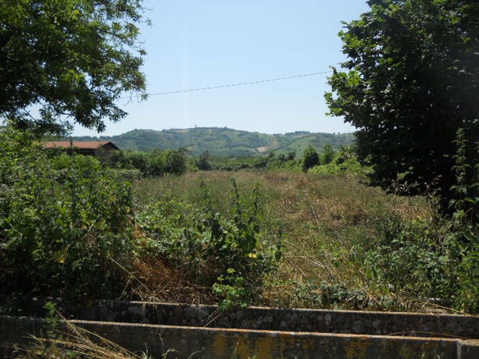 Terra a Spinetoli, Ascoli Piceno - foto 3