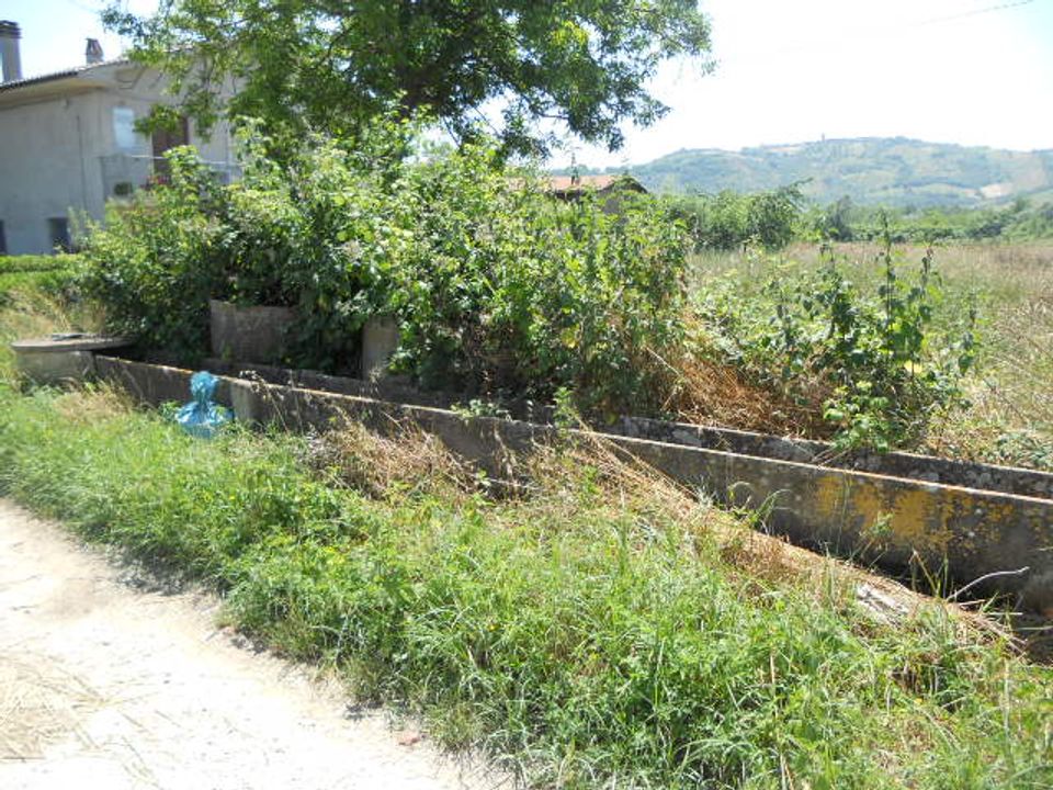 Terra a Spinetoli, Ascoli Piceno - foto 4