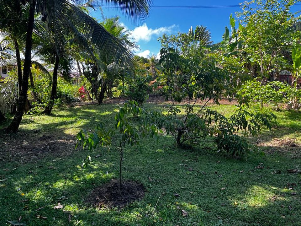 Helårsgrund i Remire-Montjoly, French Guiana - foto 2