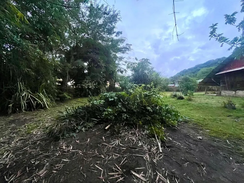 Helårsgrund i Remire-Montjoly, French Guiana - foto 3