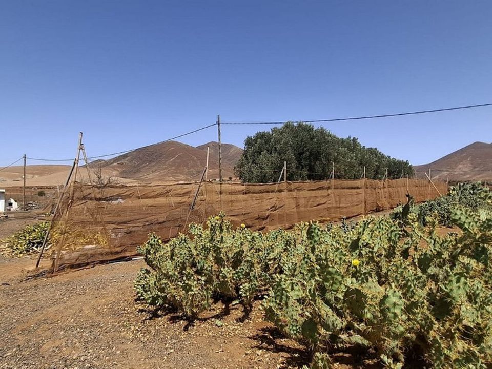Villa i Tuineje, Fuerteventura - foto 1