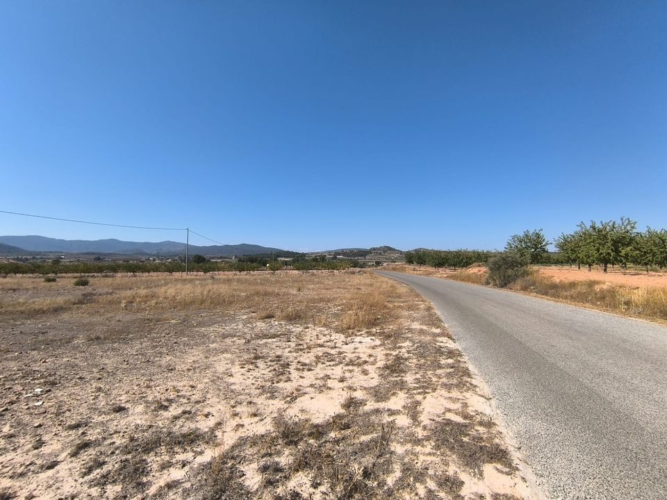Helårsgrund i Pinoso, Alicante - foto 3