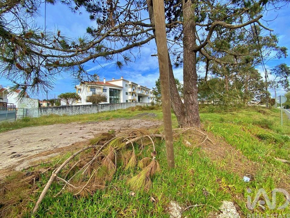 Helårsgrund i Caldas da Rainha, Leiria - foto 4