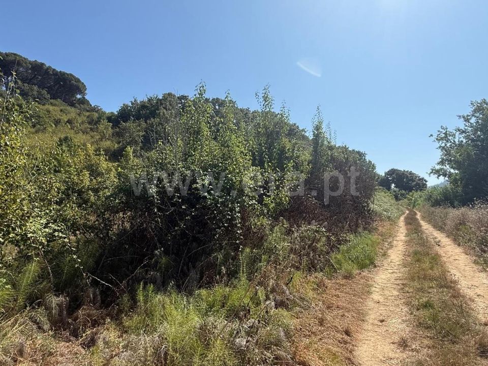 Helårsgrund i Mafra, Lisbon - foto 2