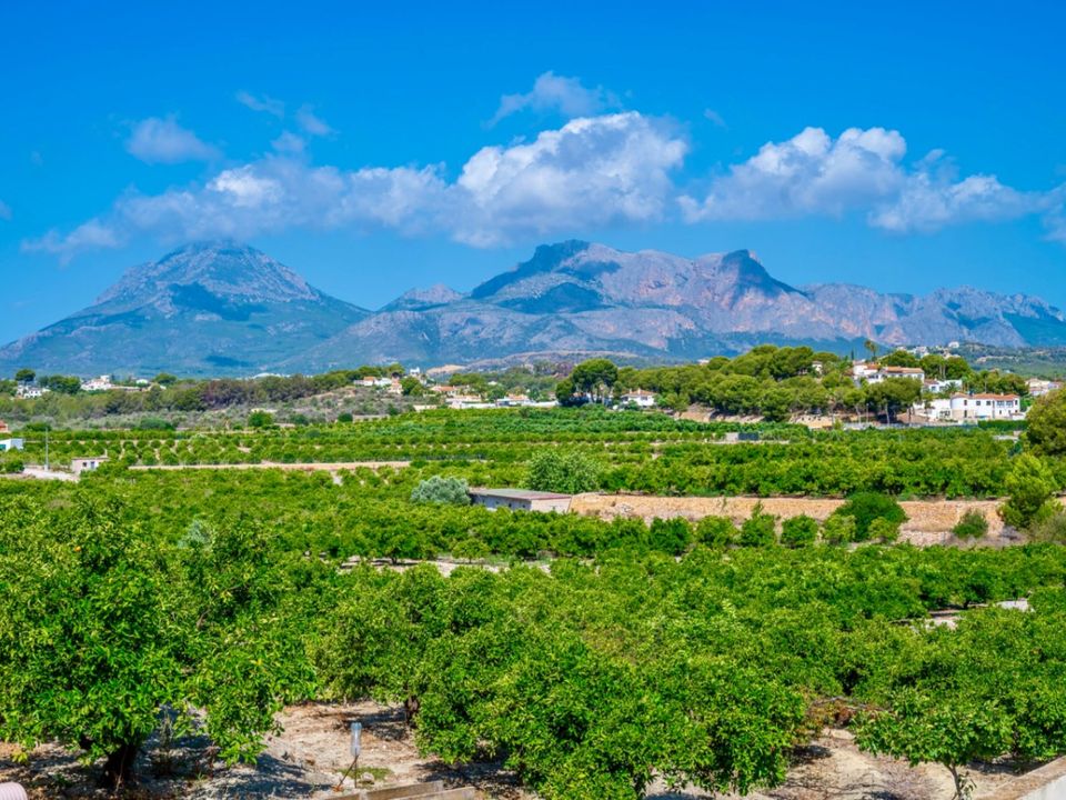 Villa i Alfaz del Pi, Alicante - foto 4
