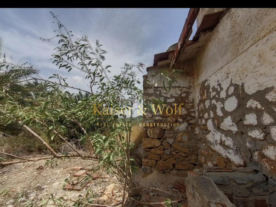Landejendom i Crevillent, Alicante - foto 5