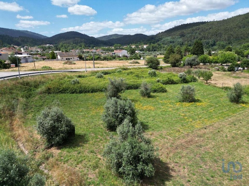 Helårsgrund i Miranda do Corvo, Coimbra - foto 2