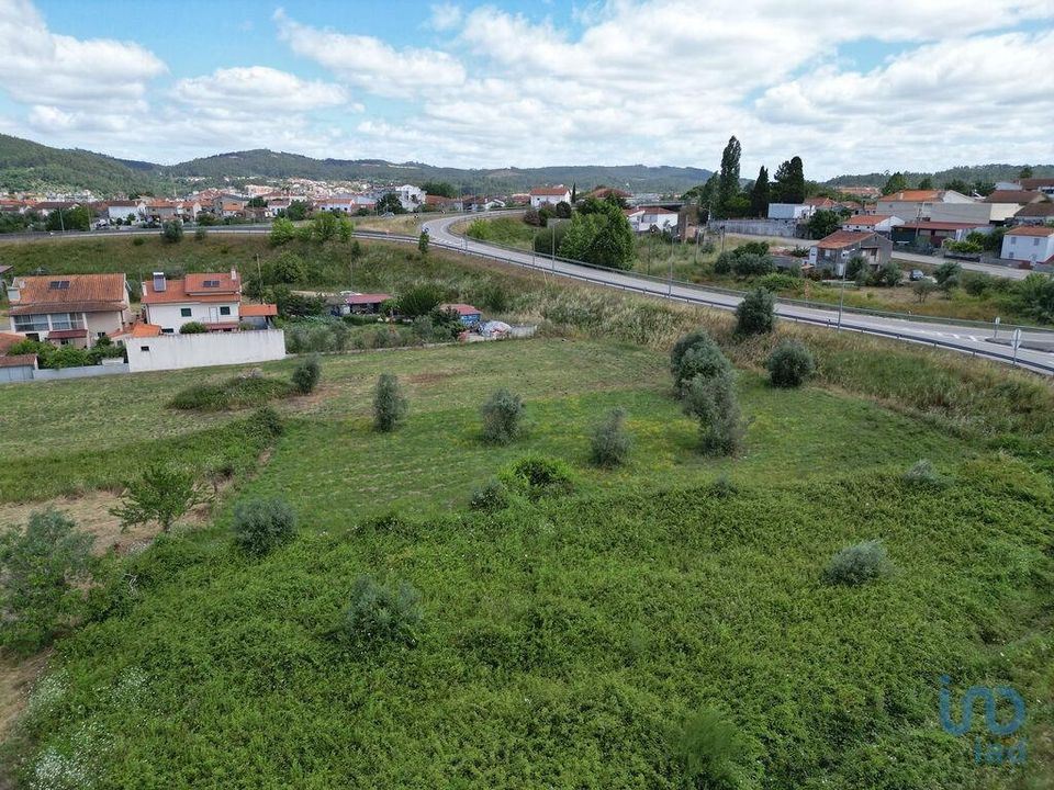 Helårsgrund i Miranda do Corvo, Coimbra - foto 5