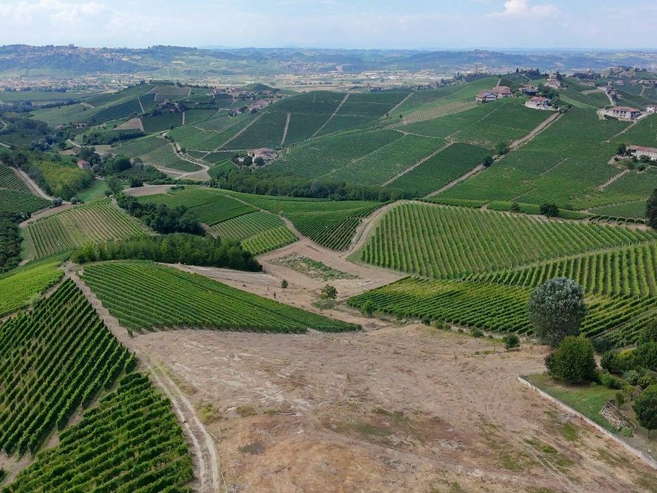Helårsgrund i Barbaresco, Cuneo - foto 1