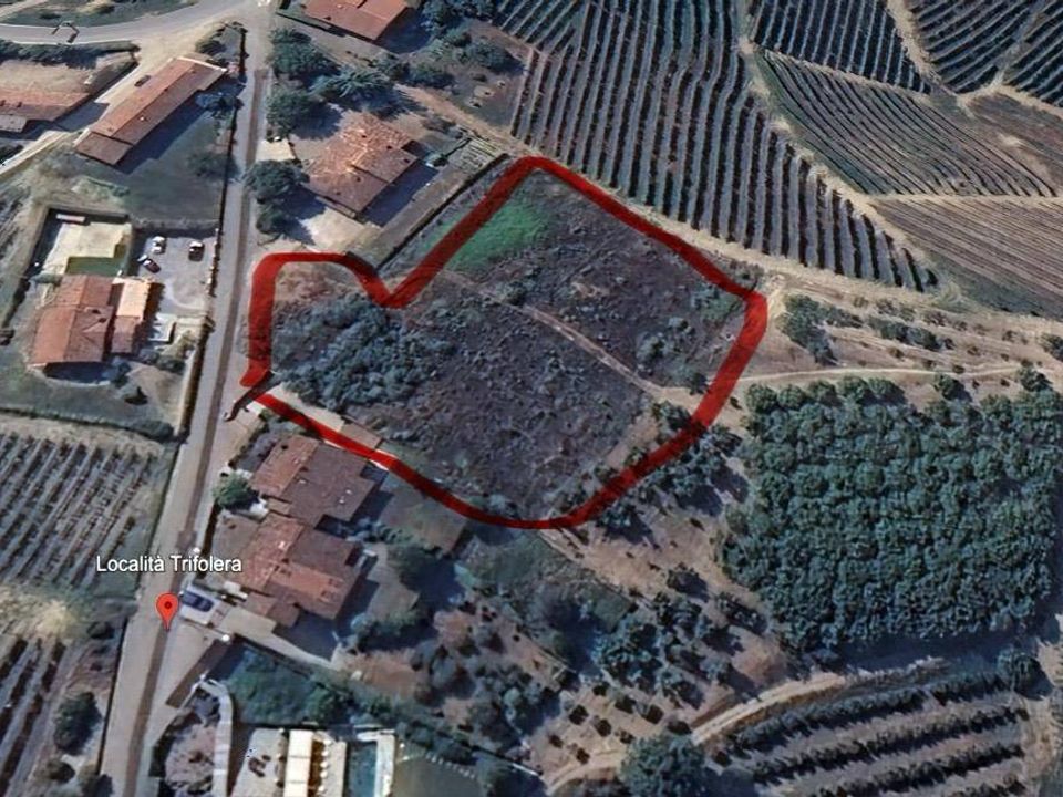 Helårsgrund i Barbaresco, Cuneo - foto 5