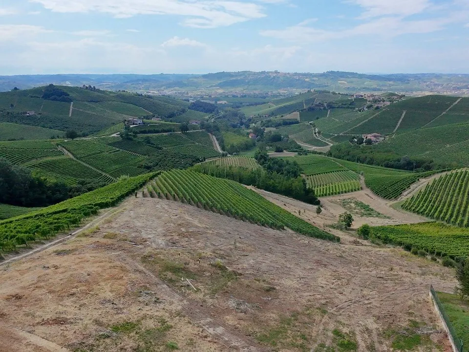 Helårsgrund i Barbaresco, Cuneo - foto 2