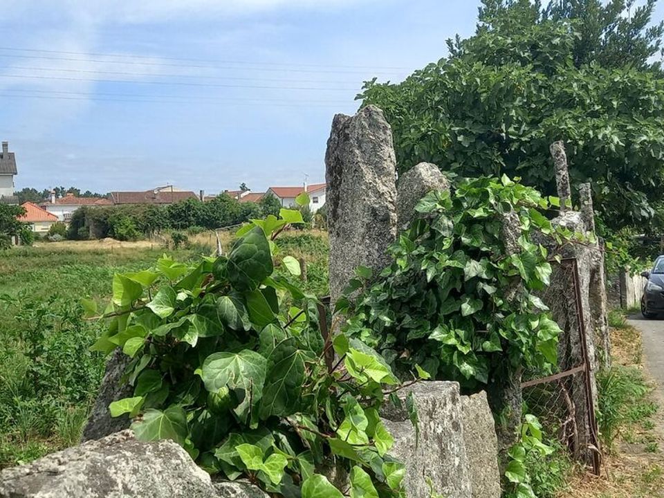 Helårsgrund i Moncao, Viana do Castelo - foto 2