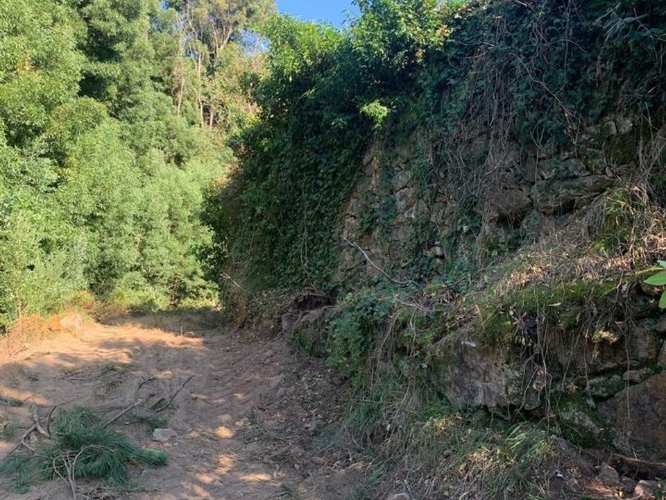 Farm i Melgaco, Viana do Castelo - foto 4