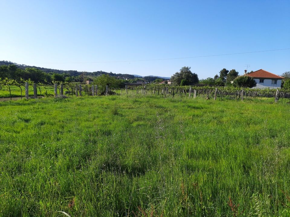 Helårsgrund i Moncao, Viana do Castelo - foto 1