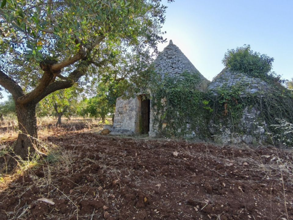 Landejendom i Locorotondo, Bari - foto 2