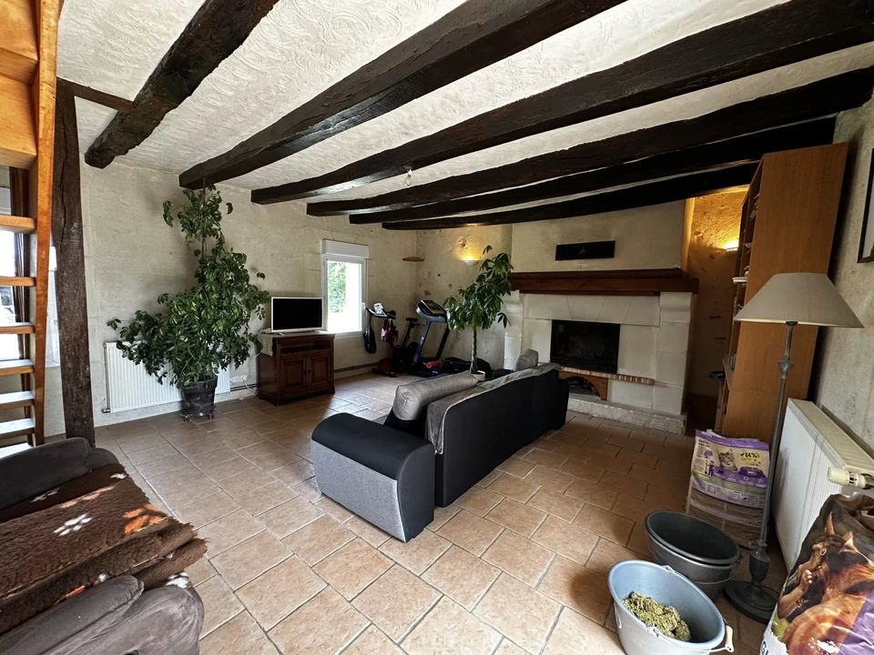 Villa i Channay-sur-Lathan, Indre-et-Loire - foto 2
