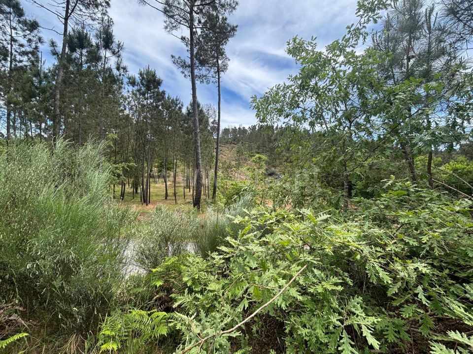 Helårsgrund i Mangualde, Viseu - foto 1