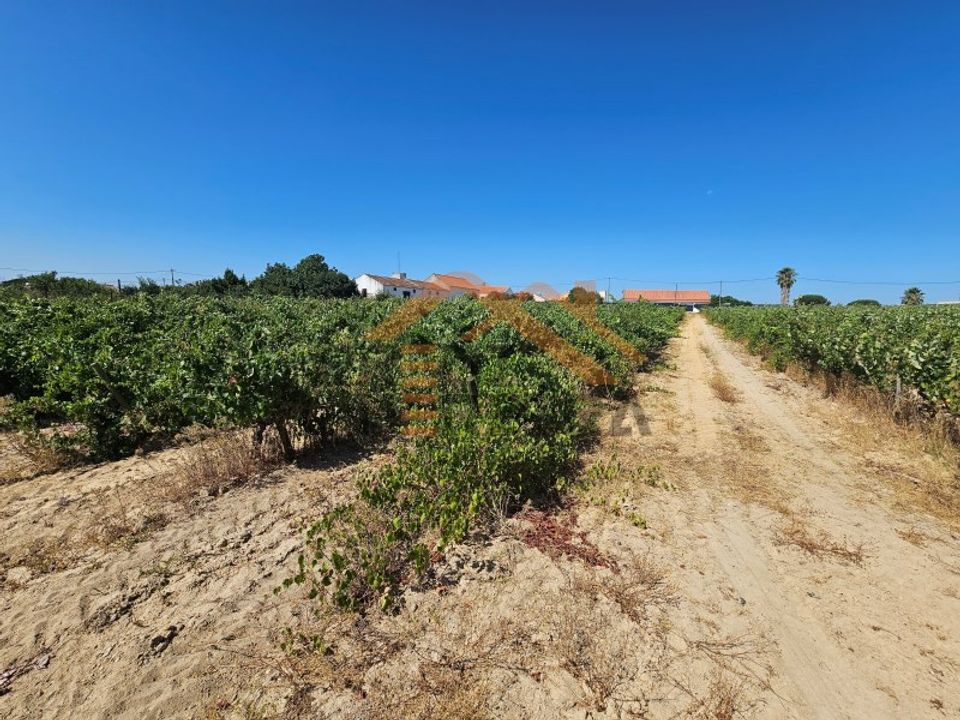 Helårsgrund i Palmela, Setubal - foto 5