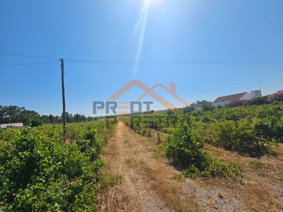 Helårsgrund i Palmela, Setubal - foto 1