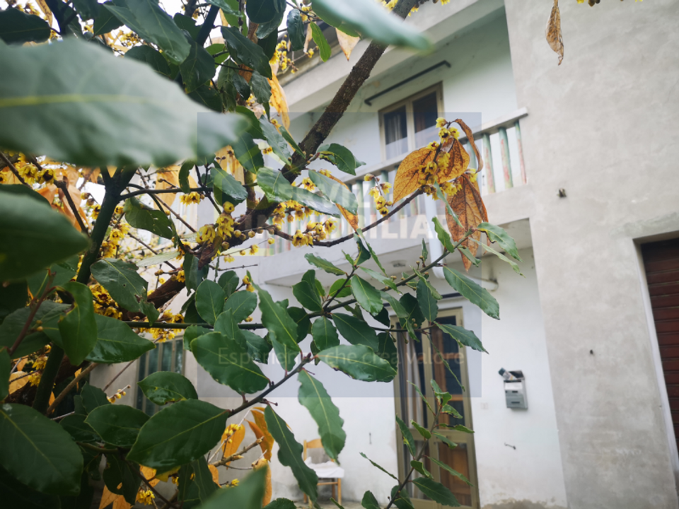Villa i Fratta Polesine, Rovigo - foto 1
