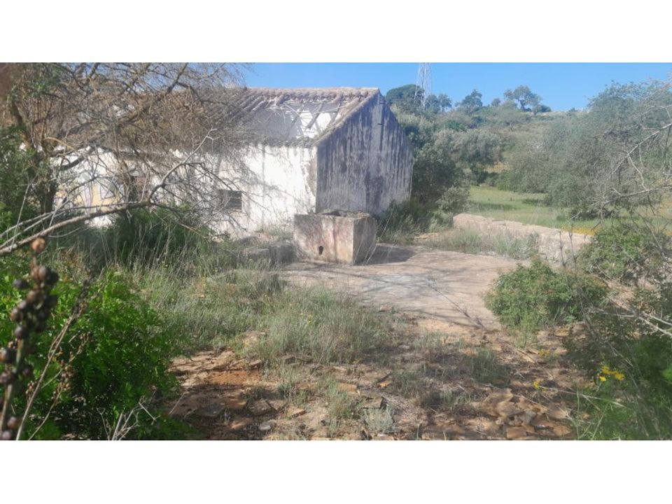 Farm i Ferreiras, Faro - foto 4