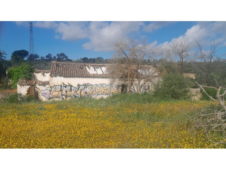 Farm i Ferreiras, Faro - foto 3