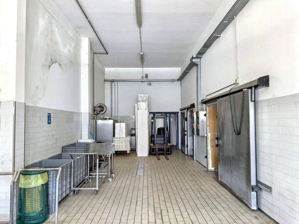 Erhvervsejendom i Carpenedolo, Brescia - foto 5